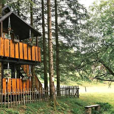 Treehouse Kupari Nacionalni Park Risnjak Cabar Luaran gambar