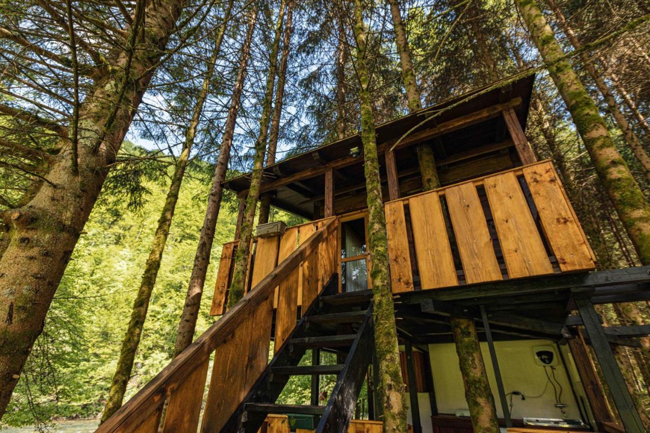 Treehouse Kupari Nacionalni Park Risnjak Cabar Luaran gambar