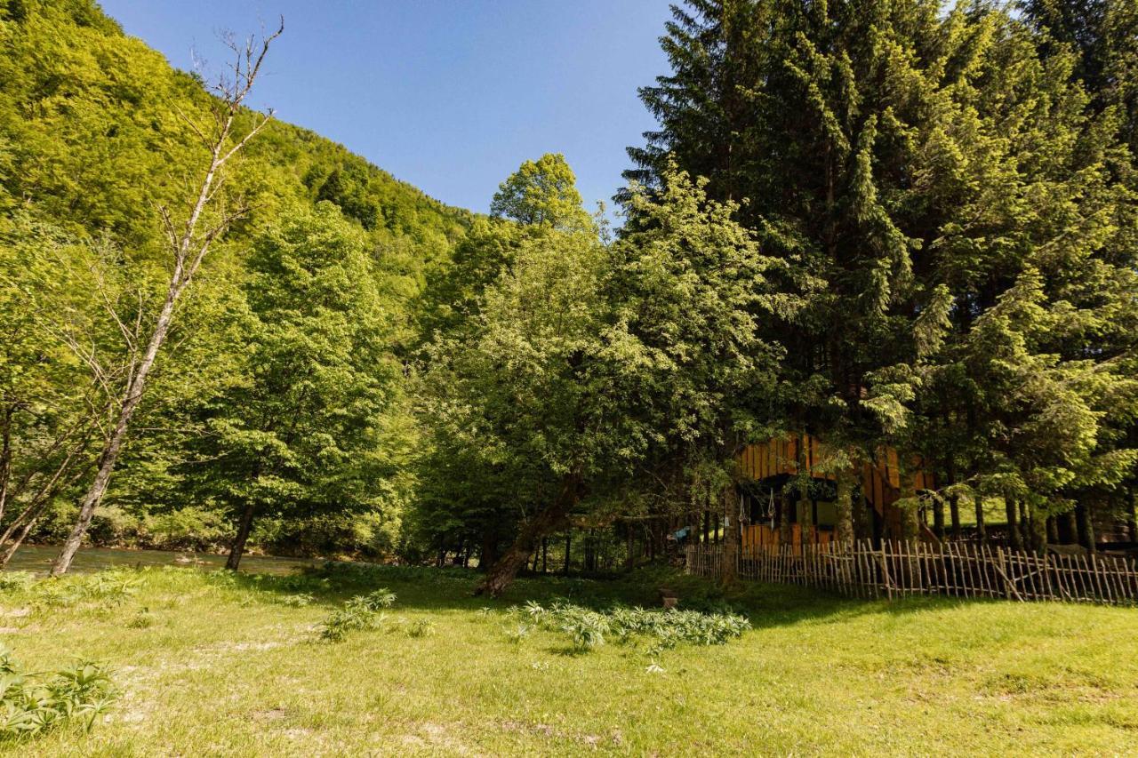 Treehouse Kupari Nacionalni Park Risnjak Cabar Luaran gambar