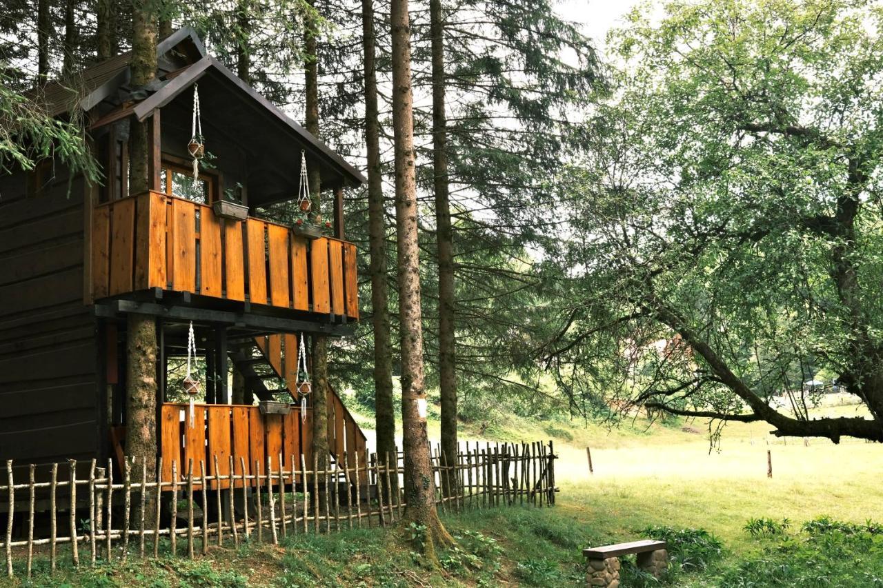 Treehouse Kupari Nacionalni Park Risnjak Cabar Luaran gambar